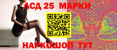 молекула духа Гатчина