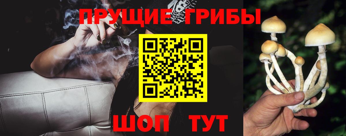 Дзержинский  Галлюциногенные грибы Magic Shrooms  Вход с VPN 